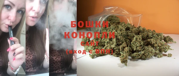 шишки Кукмор