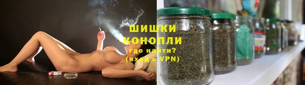 шишки Кукмор