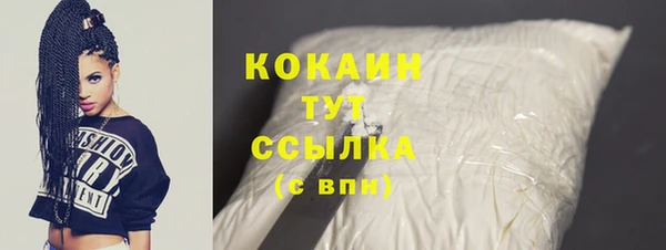 шишки Кукмор