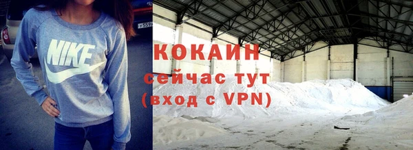 шишки Кукмор