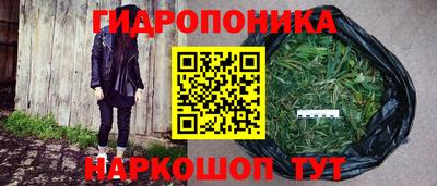гидра Бузулук