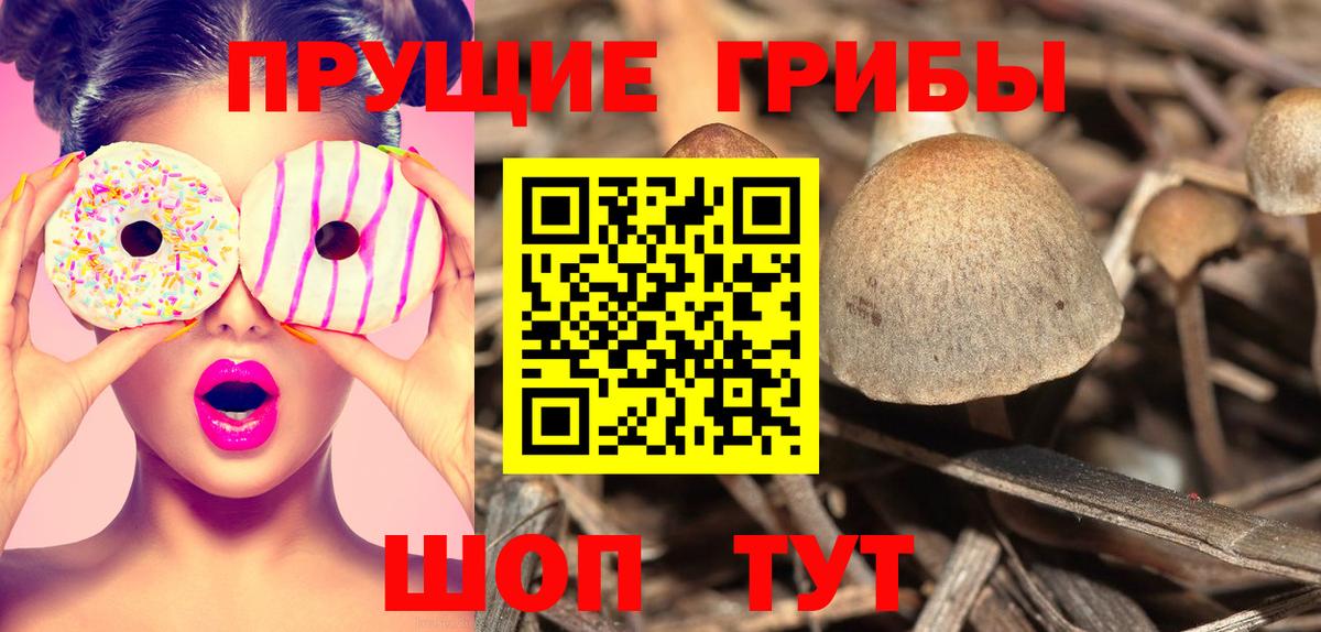 Кемерово  Псилоцибиновые грибы Magic Shrooms  сколько стоит  Вход с VPN 